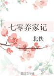 七零养家记 好看吗