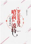 罗宾女孩儿波特完整版