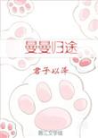 曼曼归途讲什么