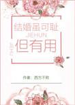 结婚可耻但有用txt