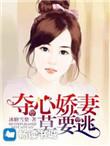 夺心总裁辣妻狂傲如火