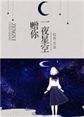 赠你一夜星空皎皎txt