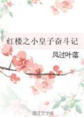 红楼同人皇子穿越到现代又穿越回去的