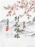 村花难嫁正版全文