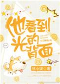 他看到光的背面第二部