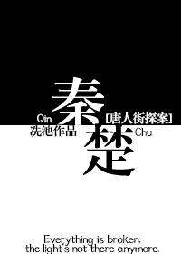 唐人街探案秦唐bl文