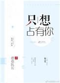 我只想占据你歌词