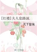 红楼夫人套路深讲什么