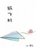 纸飞机讲的什么