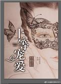 上等宠爱免费阅读