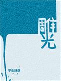 雕光平生好剑讲的什么