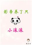 影帝养了只小滚滚在线