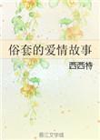 俗套的爱情故事作者西西特讲的什么
