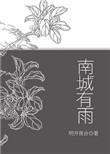 南城有雨讲什么的