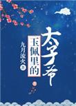 玉佩里的太子爷电视剧