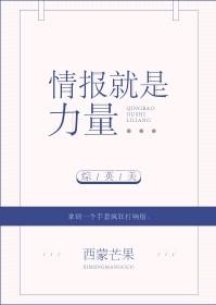 情报理论