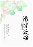 清宫攻略清穿txt百度