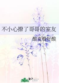 不小心撩了哥哥的室友又叫什么名字