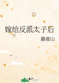嫁给反派太子后番外免费阅读