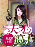 天才高手免费阅读全文