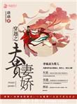 穿越之夫贵妻娇TXT