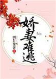 娇妻难逃 明月像饼TXT