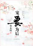 宠妻为后番外
