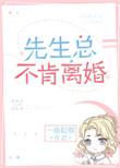先生总不肯离婚by一扇轻收全文阅读