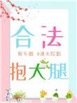 合法抱大腿txt