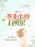 季先生的强势占有作者夜岚辛