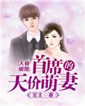 入骨暖婚总裁太霸气