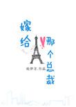 嫁给那个总裁番外无防盗章