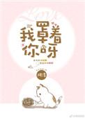 我罩着你呀txt阿淳