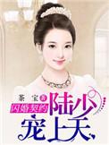 闪婚娇妻陆少心大急