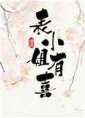 表小姐 讲什么