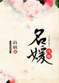 名媛攻略泊烟免费阅读