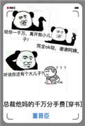 总裁妈妈的独宠