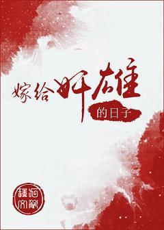 嫁给奸雄的日子正版阅读
