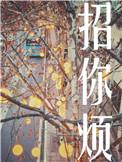 招你烦txt初禾