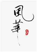 风华电阻