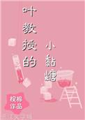 叶教授的小黏糖txt免费
