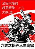 六零之培养人生赢家大结局