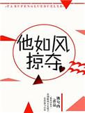 他如风掠夺怎么样