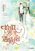 恰似寒光遇骄阳在线阅读免费