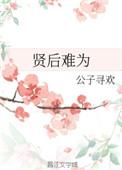 贤后难为剧透
