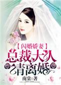 闪婚娇妻总裁大人请离婚南棠