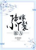 穿越成陪嫁小丫鬟