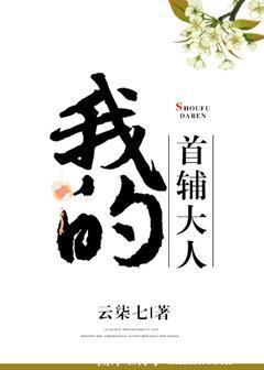 我的首辅大人言讱