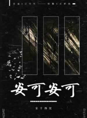 张新成 安可安可