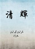 清辉集电